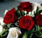 Br�llop