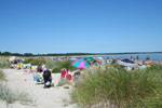 Beachen